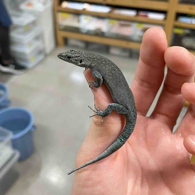 FullSizeRender