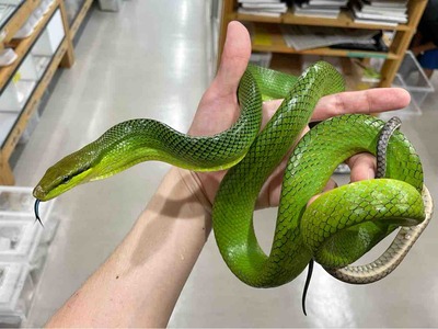 FullSizeRender