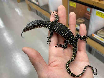FullSizeRender