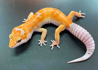 FullSizeRender