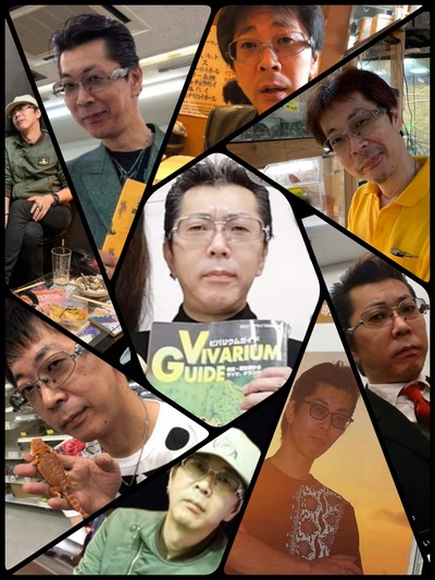 20-02-20-18-52-54-770_deco