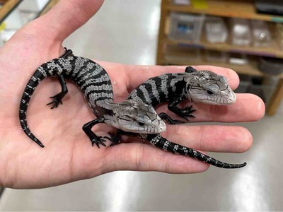 FullSizeRender