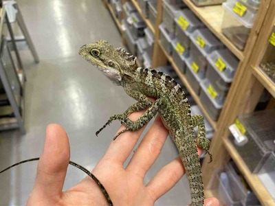 FullSizeRender