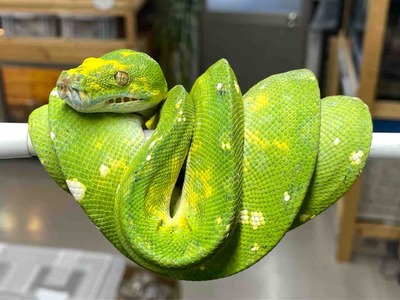 FullSizeRender