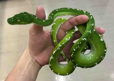 FullSizeRender