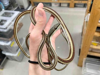 FullSizeRender