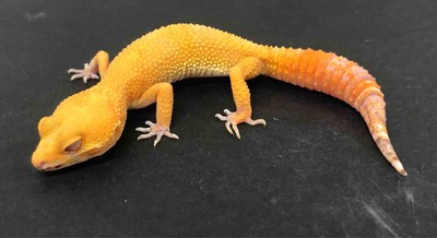 FullSizeRender