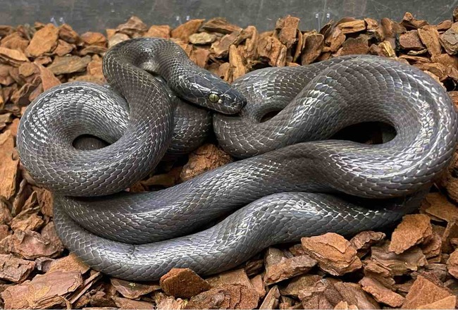 FullSizeRender