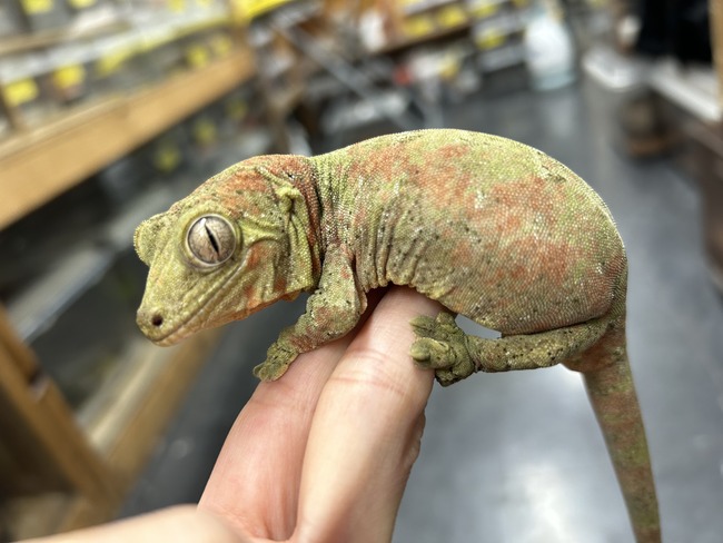 41452468-3E56-4F49-8F88-943AA3804F85