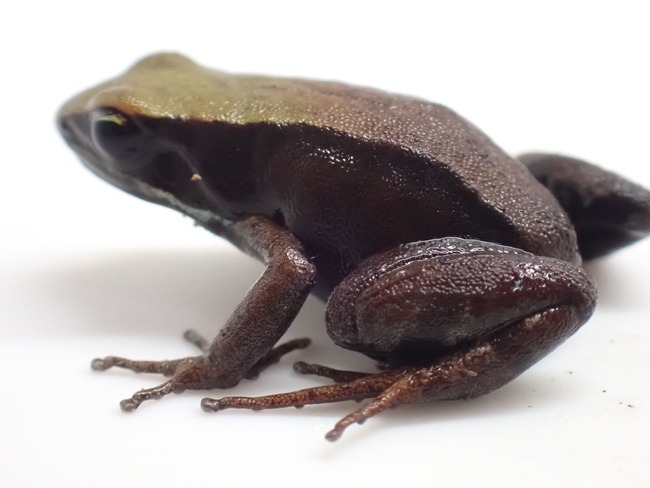 2EE68781-4765-4DBB-AECF-8C5F5053064D