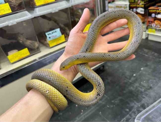 FullSizeRender