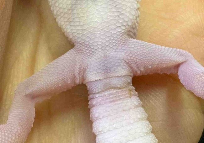FullSizeRender