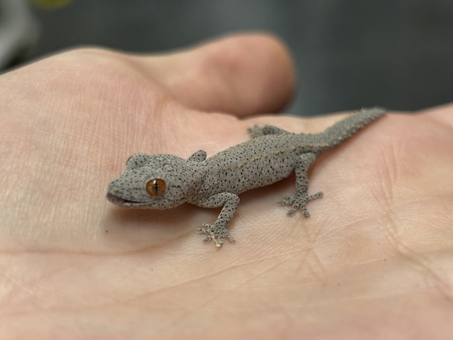 154D4F84-994C-4782-BE6C-D4F1CF52EA39