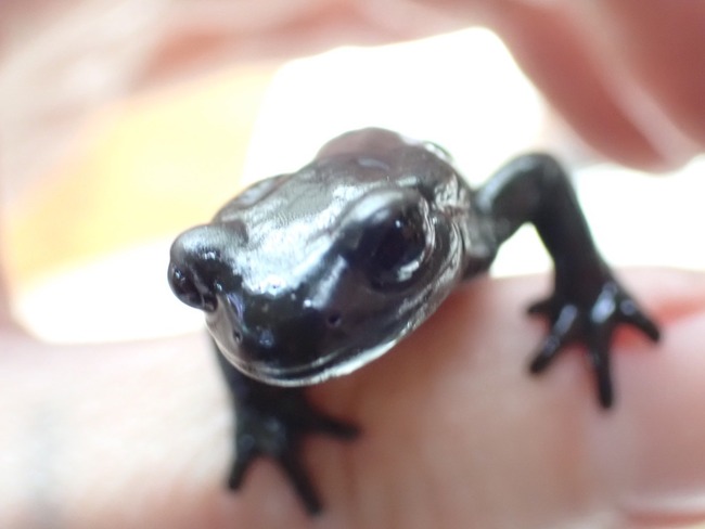 905D0E38-3EEB-4884-9689-26D3D24BC539