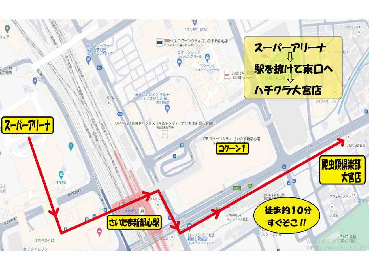 いよいよ！！】6月15日・16日マニクラ開催！ イベントオススメ生体ご紹介！＋ケージSALE情報も！ : 爬虫類倶楽部大宮店公式ブログ