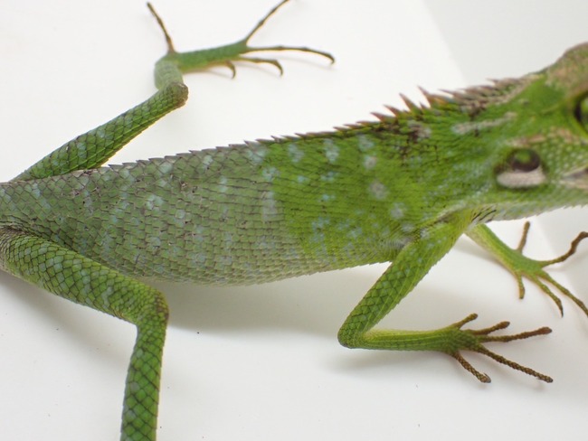 LINE_ALBUM_20240408 _1_240409_25