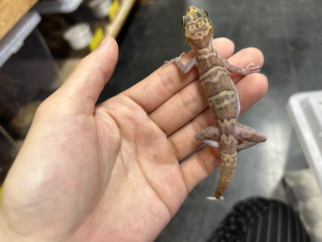 8F332193-E4DE-4234-857C-DB73F707DF19