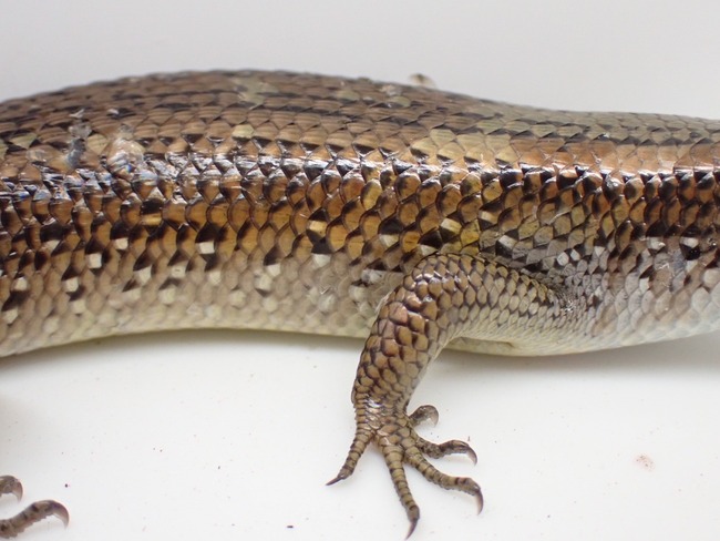 LINE_ALBUM_20240408 _1_240409_12