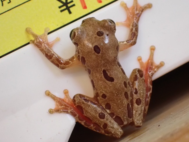 A85B1AF1-F949-453A-AC38-4E128DE61095