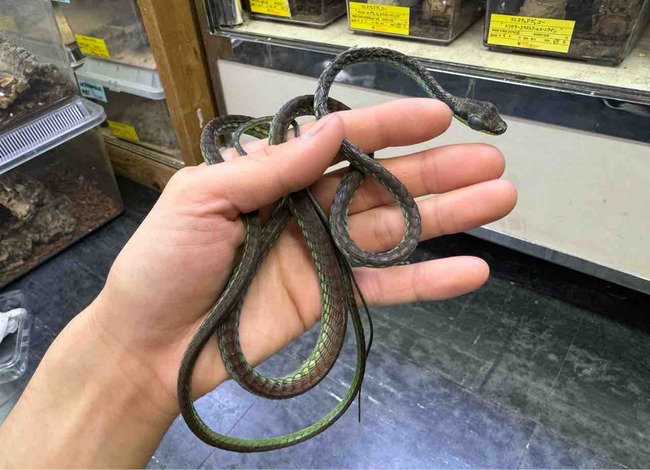 FullSizeRender