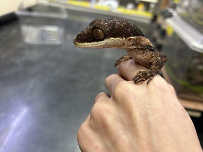 E687E891-B5B7-458E-948D-B99136642B97