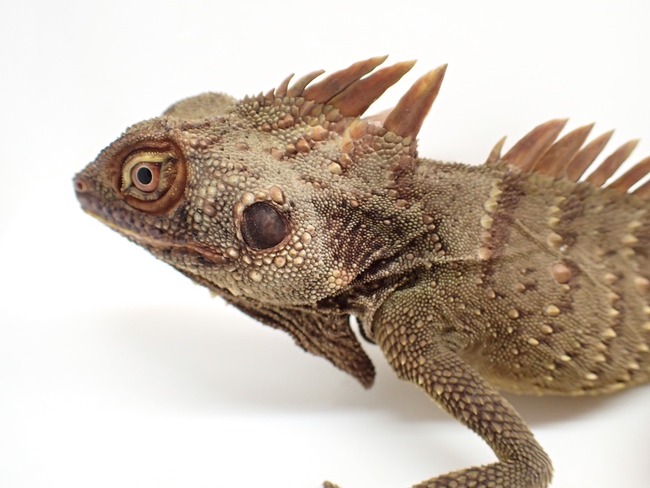 LINE_ALBUM_20241119_241121_11