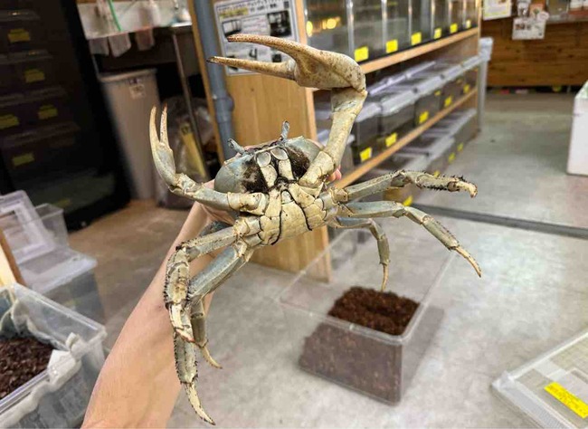 FullSizeRender