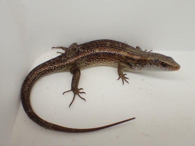 LINE_ALBUM_20240408 _1_240409_7