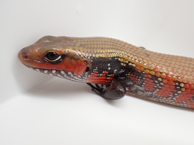 LINE_ALBUM_20241119_241121_14