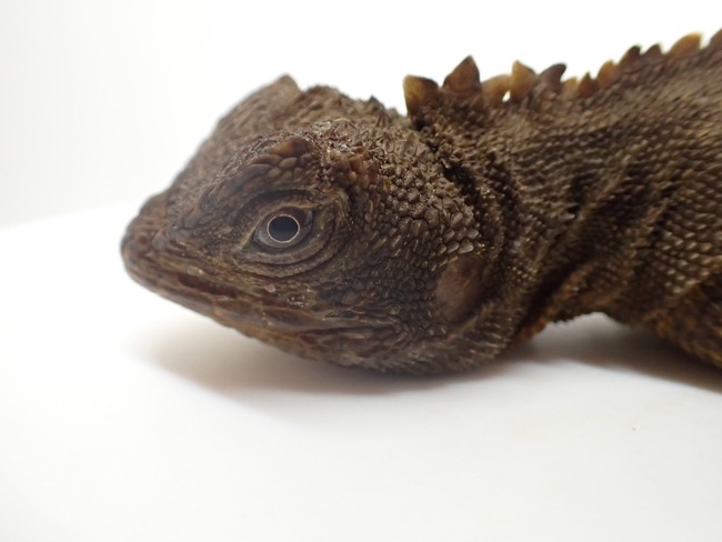 LINE_ALBUM_20241113_241114_15