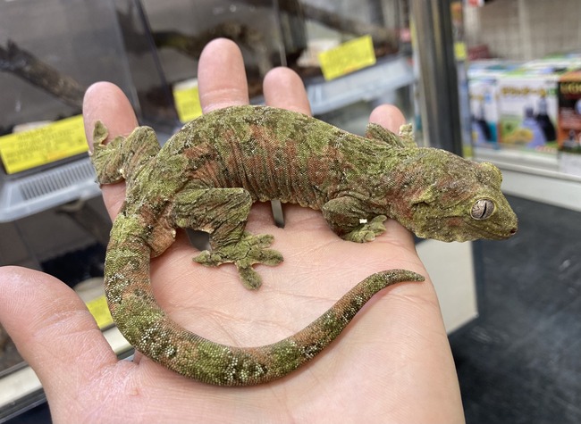 B4DE4C6D-E6F3-4879-83A5-4822186C03A3