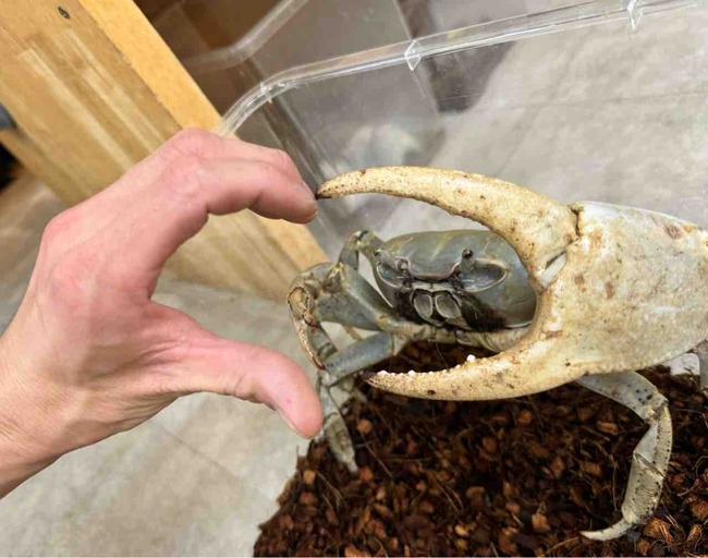 FullSizeRender