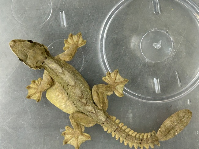 1F96E24E-7017-49A0-9A62-DAF15587A1E7