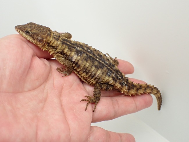 LINE_ALBUM_20241113_241114_28