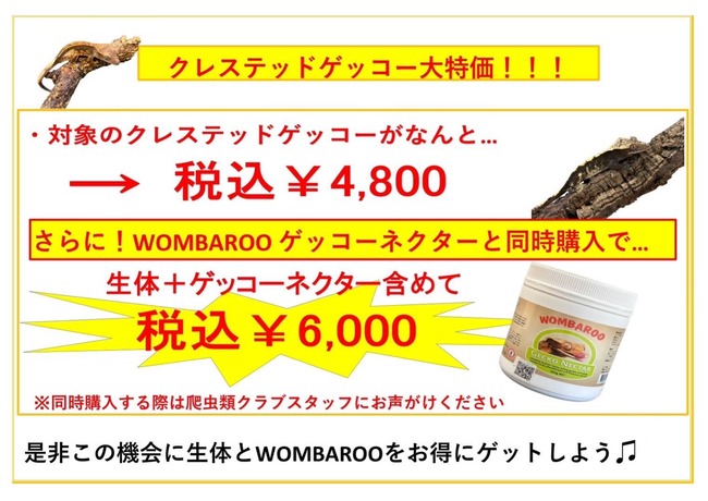 01DF1C1D-2C8C-400C-BCEA-0B98B7D32C33