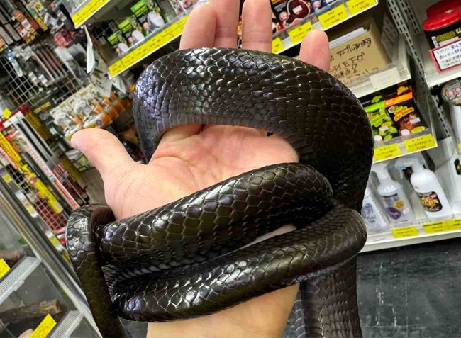 FullSizeRender