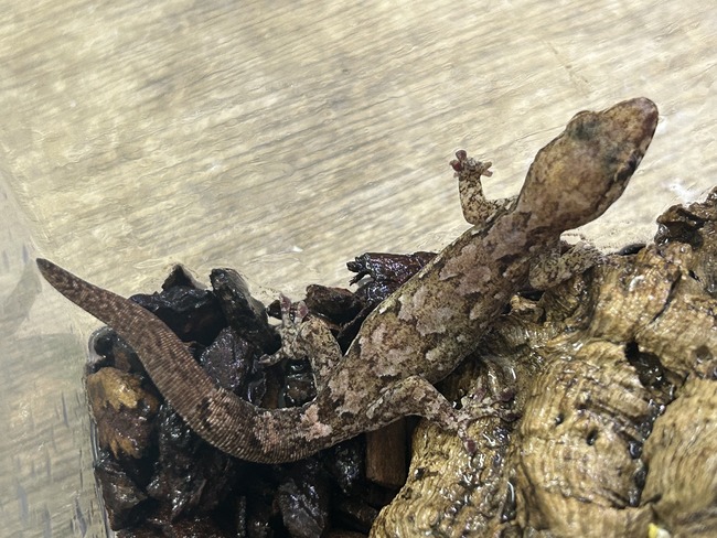 778D5269-FA00-4D4D-BF52-D482FE2C4940