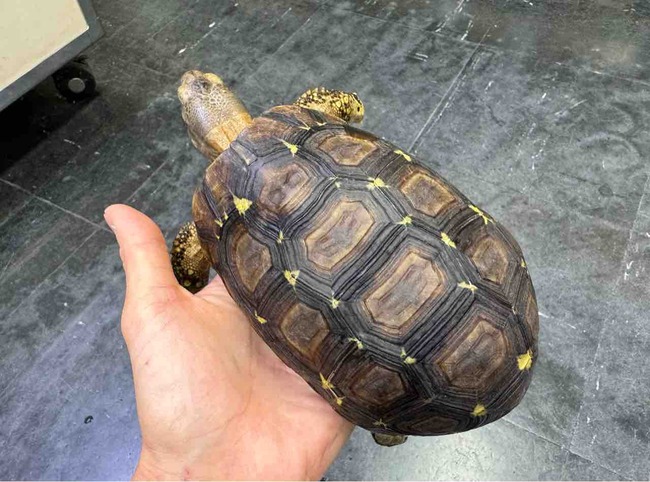 FullSizeRender