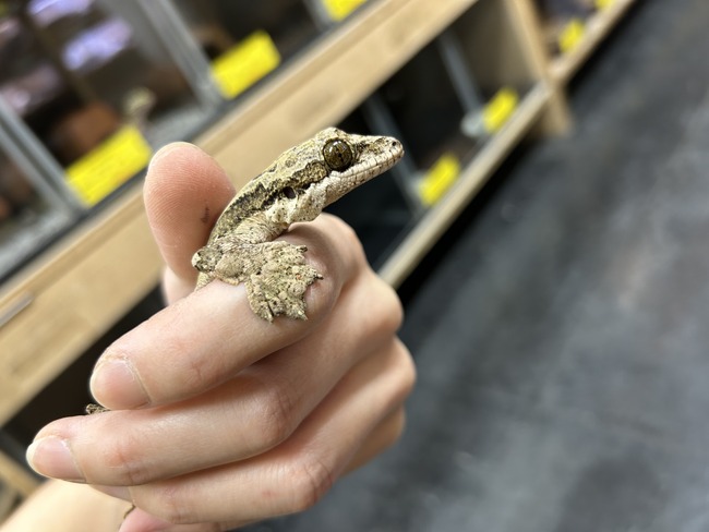 3AD56149-4564-49EA-BADC-99C629930E0E