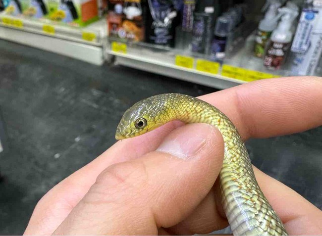 FullSizeRender