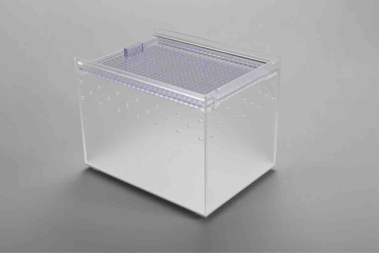 模写/圓山應挙/円山応挙/西王母/美人図/人物図/掛軸☆宝船☆AG-807 模写/圓山應挙/円山応挙/西王母/美人図/人物図/掛軸☆宝船☆AG