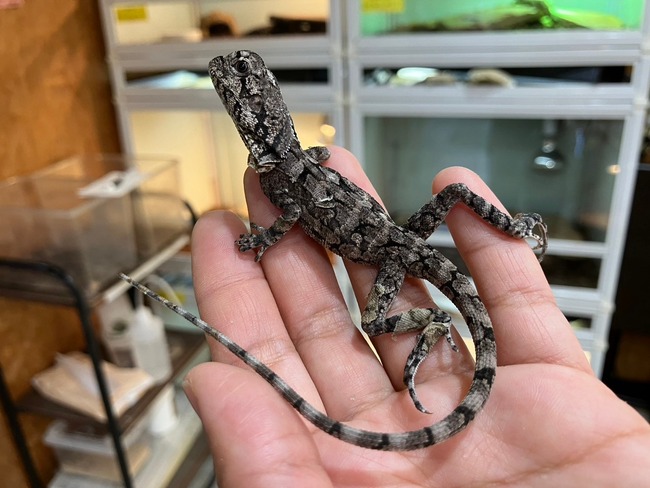 LINE_ALBUM_20240423_240423_32