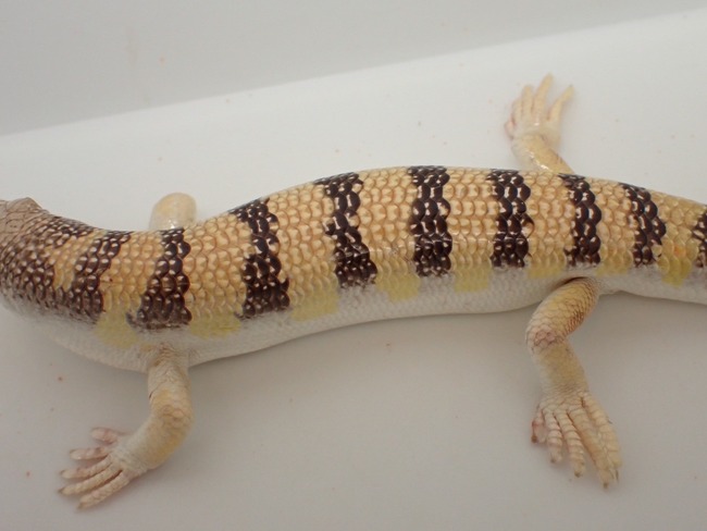 LINE_ALBUM_20240418_240422_10