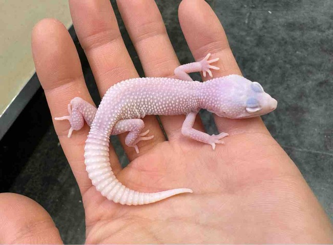 FullSizeRender