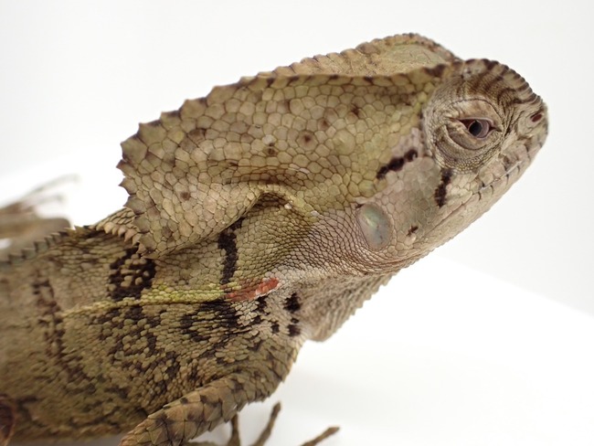 LINE_ALBUM_20240222 _1_240222_69