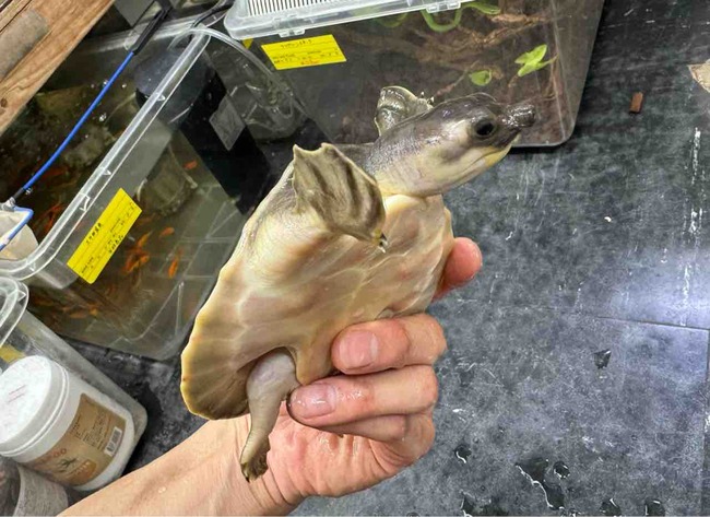 FullSizeRender