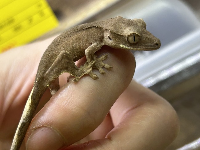 302017BA-543B-4842-898B-8A3A0AA33B20