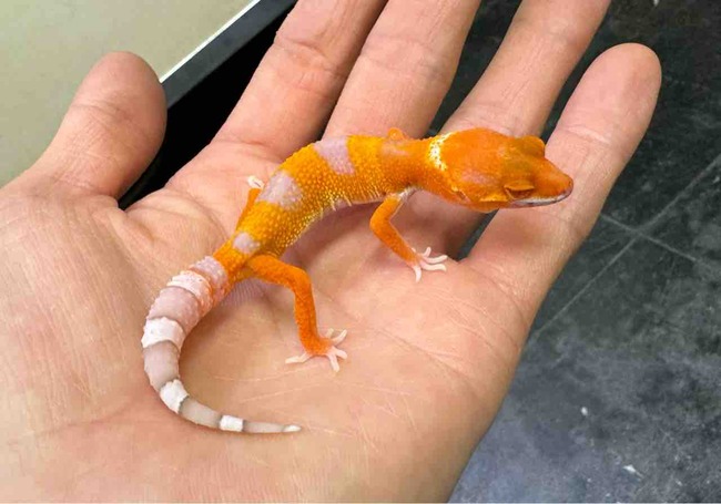 FullSizeRender