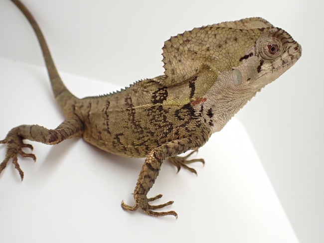 LINE_ALBUM_20240222 _1_240222_67