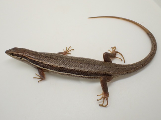 LINE_ALBUM_20240222 _1_240222_23